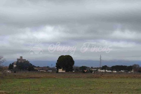 Landejendom i Almansa, Albacete, Almansa - € 125.000 | Ref: SF0553 - foto 17